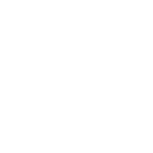 The Style Duo - Sub Logo (White) copy